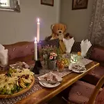 Penzion U Konika 3*
