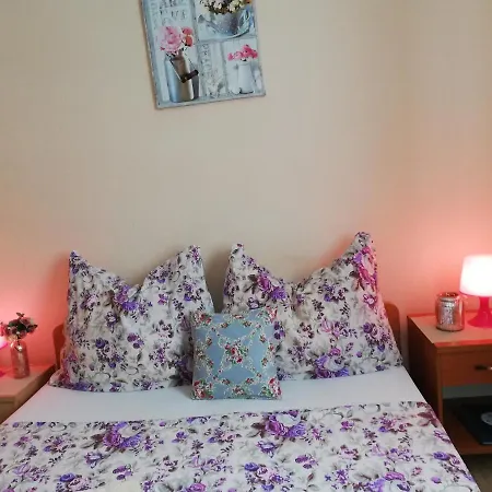 Gæstehus U Konika 3*